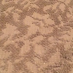 Meet your Posher, Ann